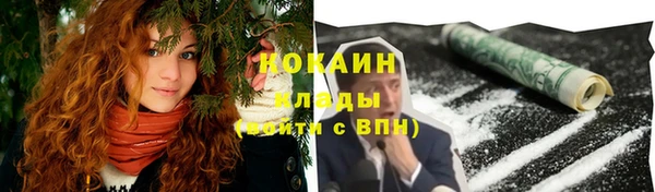 молекула духа Карпинск