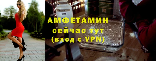 молекула духа Карпинск