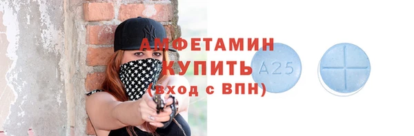 молекула духа Карпинск