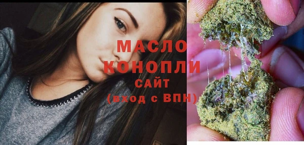 молекула духа Карпинск