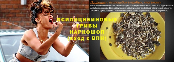 молекула духа Карпинск