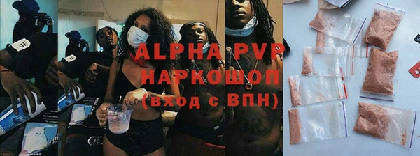 молекула духа Карпинск