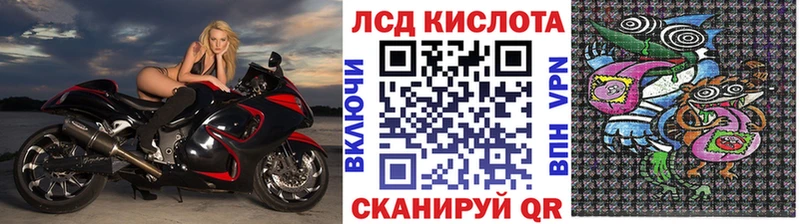 Купить закладки  Камышлов  Марки 25I-NBOMe 1500мкг 